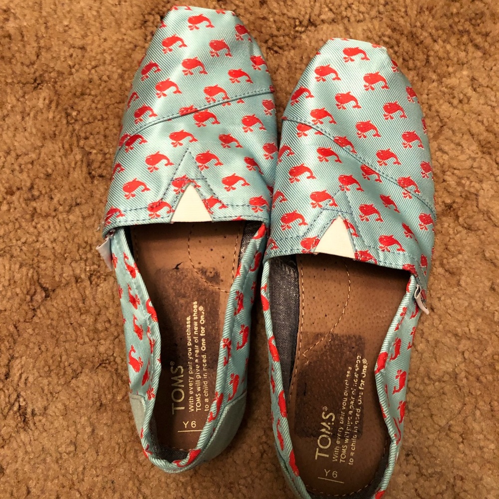 Toms Y6/W8 with whales
